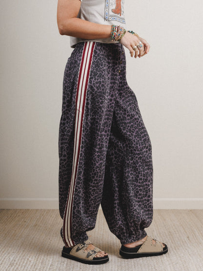 Wild Awakening Pants - Black Leopard